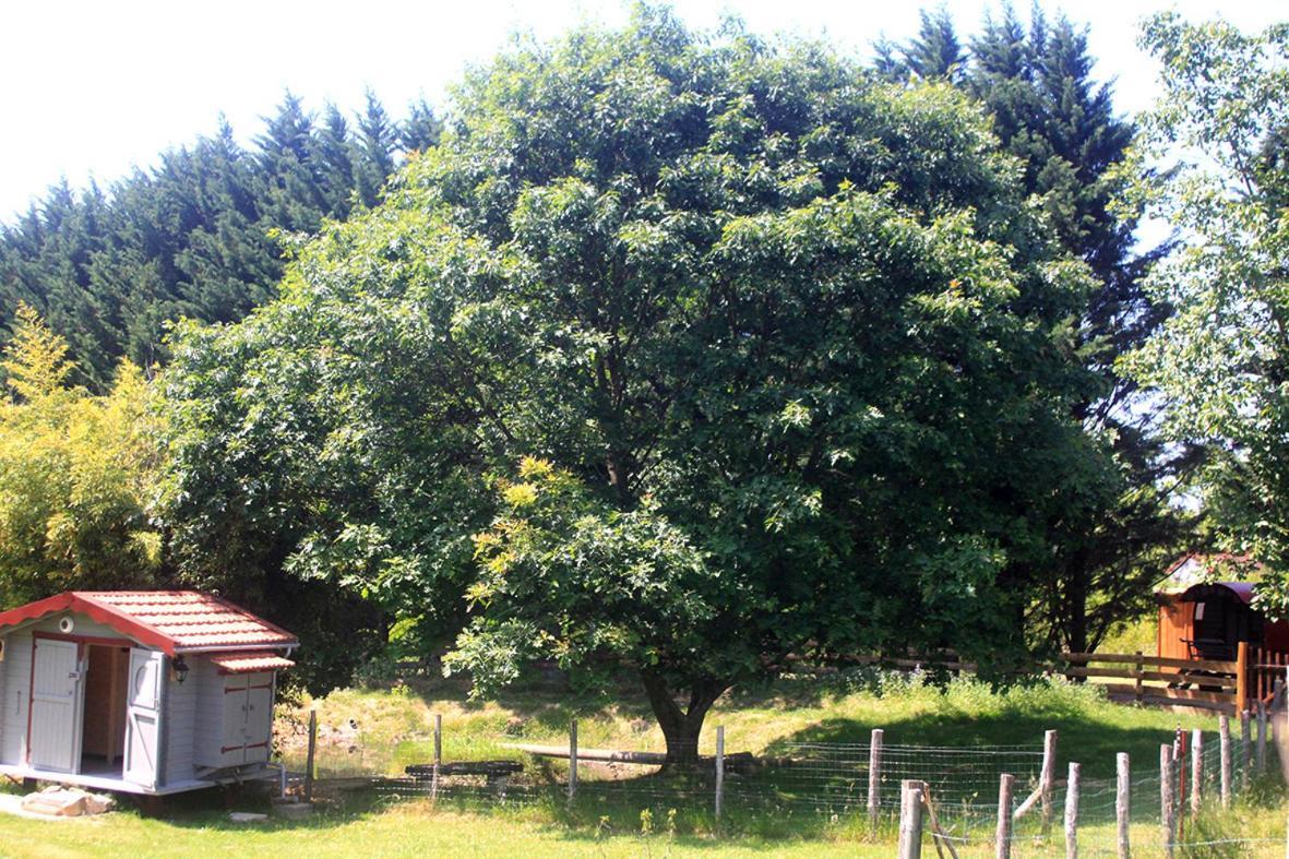 Tente Trappeur Ada, Au Jardin De La Vouivre Saint-Vincent-en-Bresse Exterior foto
